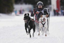 Lenzerheide 2013